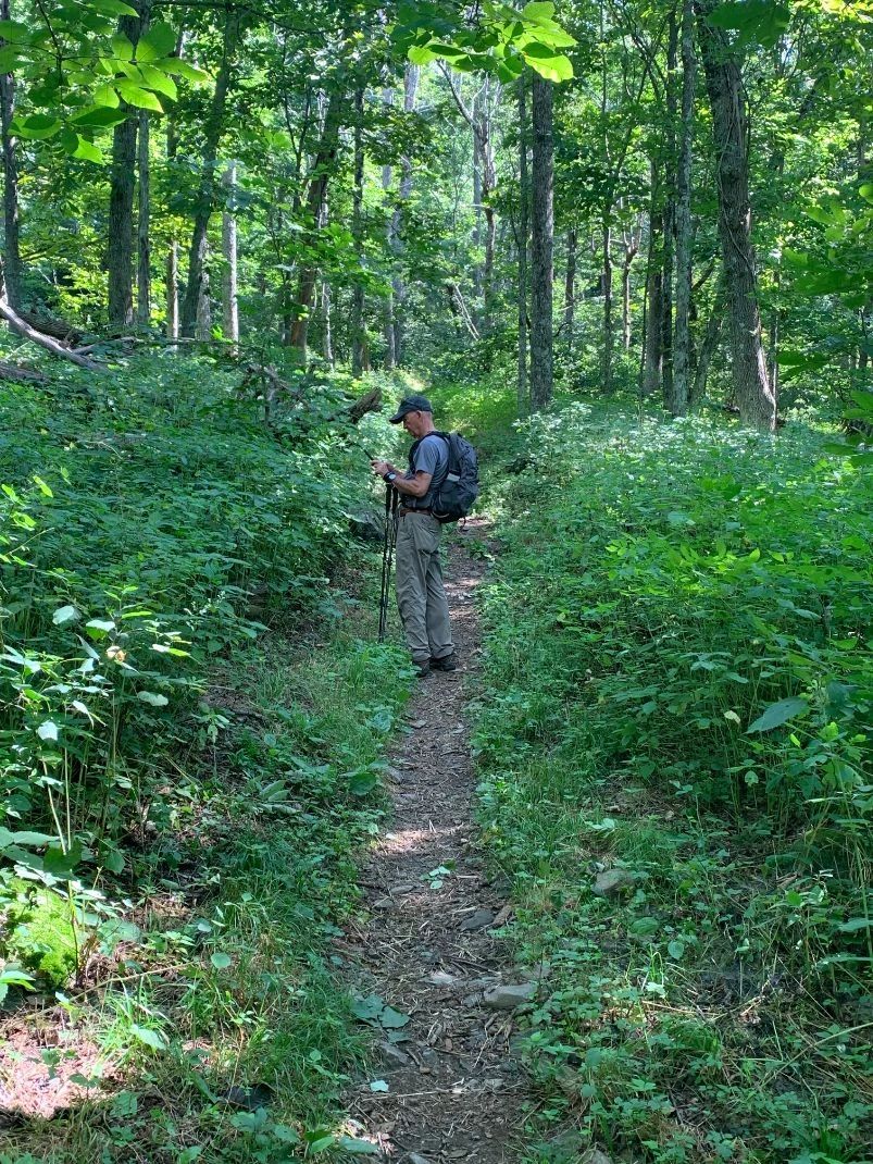Hiker with backpack on forest trail
