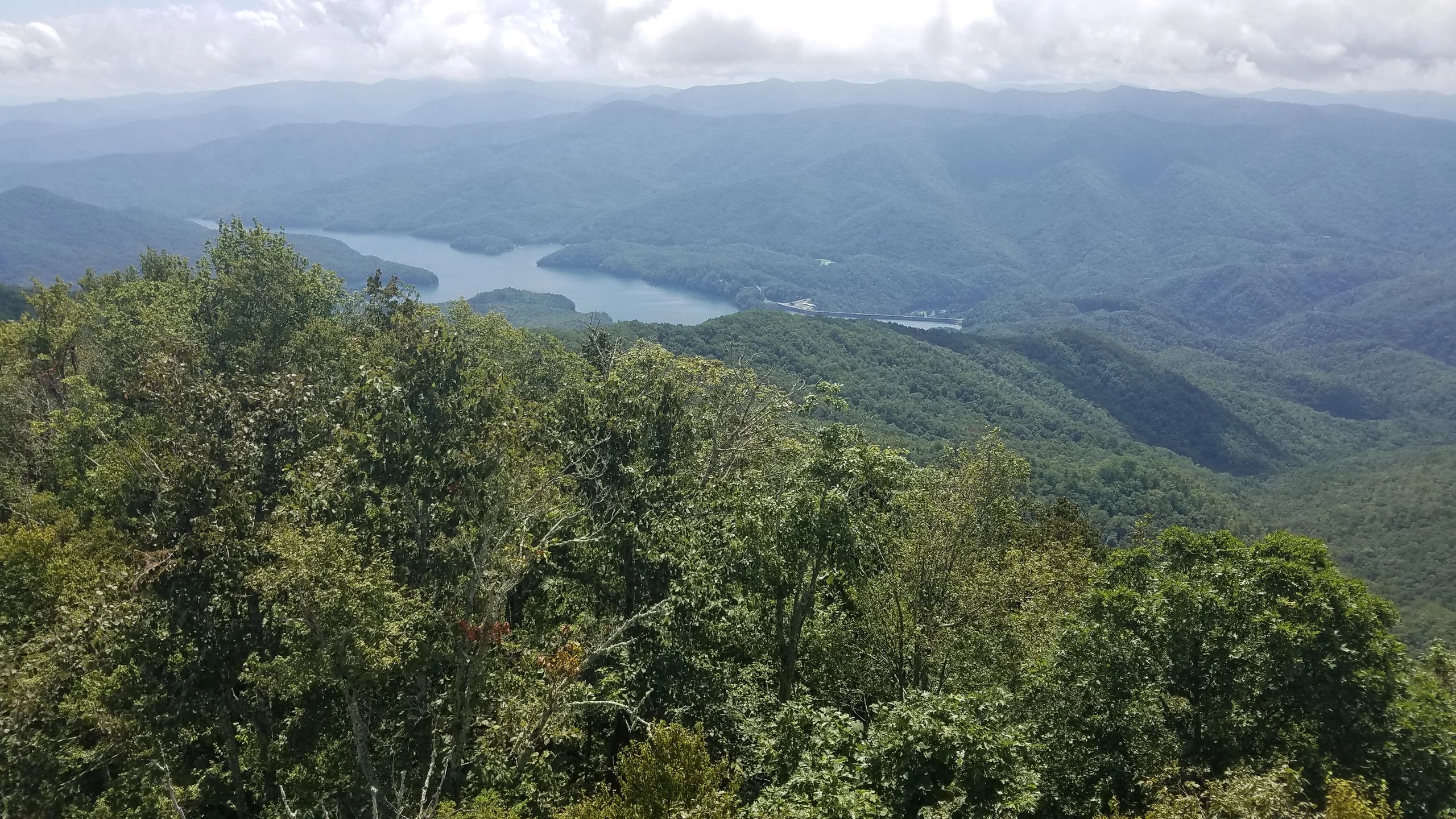 Athens to Amicalola
